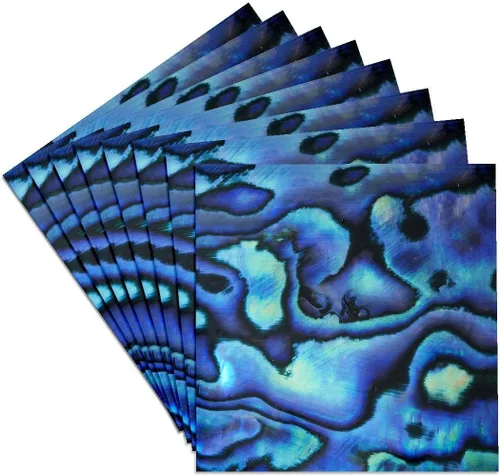 Vista 8 de 3dRose CST_73908_3 Patrón de concha de Paua 'abulón', Nueva Zelanda-AU02 DWA4678-David - Posavasos para azulejos de cerámica, juego de 4