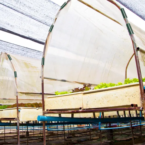 Vista 4 de Jetec 32 clips de tubería de PVC abrazaderas para cubierta de piscina para piscinas sobre el suelo, invernaderos, cubiertas de hileras, jardín