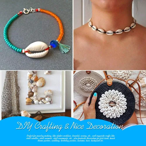 Vista 6 de LEOBRO 120 cuentas de concha en espiral natural con espalda abierta, corte liso, conchas marinas, conchas marinas, conchas de cauri, cuentas