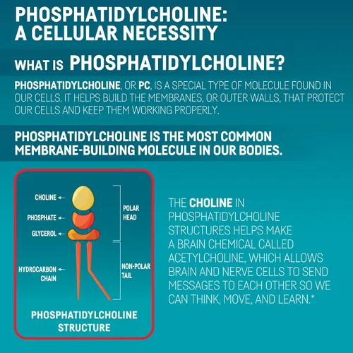 Vista 10 de Kori Krill Excel High Performance, 1000 mg Omega-3, 50