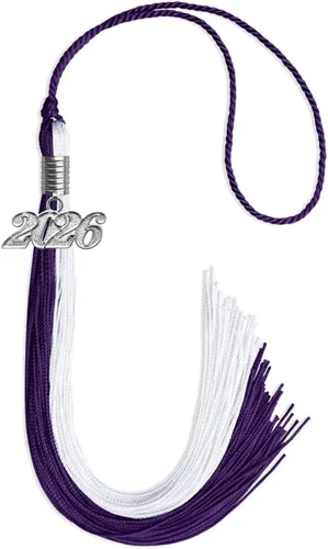 Vista 79 de Endea Graduation Borla de doble color con gota de fecha plateada (negro/oro antiguo, 2025)