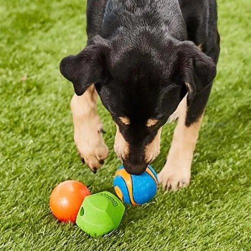 Vista 2 de Chuckit! Fetch Pack - Pelota de juguete para perros, tamaño mediano (2.5 pulgadas), paquete de 3, para razas medianas, incluye bolas Erratic, Strato