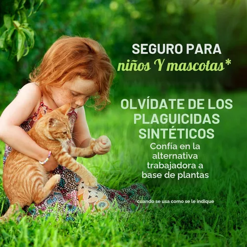 Vista 6 de Spray repelente de arañas con aceite de menta de Mighty Mint – Control natural de insectos para interiores y exteriores para arañas e insectos