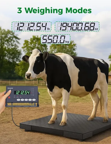 Vista 4 de Báscula de piso industrial de 36 x 36 pulgadas, 5000 libras, báscula de palet de precisión con indicador digital, báscula de pesaje resistente