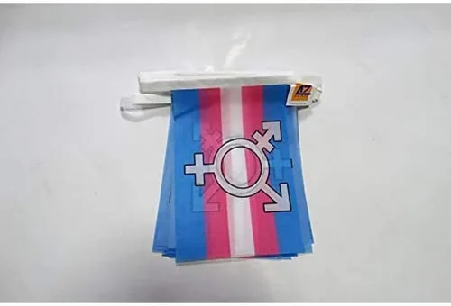 Vista 121 de Guatemala 19.7 ft BUNTING Flag 20 banderas 9'' x 6'' - Banderas de cuerda guatemalteca 5.9 x 8.3 in - AZ FLAG