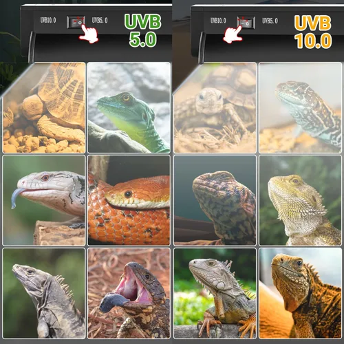 Vista 2 de Luz UVB conmutable para reptiles, 39W T5 UVB Kit combinado de luz para Tropical 5.0 y Desert 10.0, lámpara de campana de terrario de 34 pulgadas
