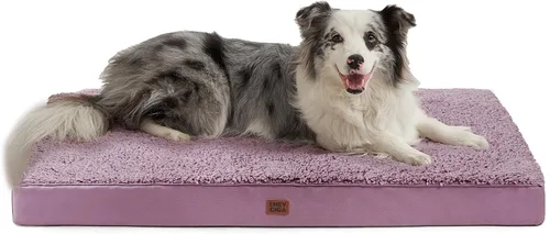 Vista 36 de EHEYCIGA Camas ortopédicas para perros, cama para perros con funda extraíble lavable, todos los tamaños de perros