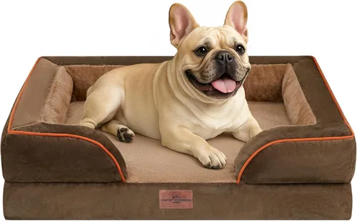 Vista 47 de Comfort Expression - Cama ortopédica para perros medianos de 30x20 pulgadas, cama impermeable de espuma de huevera para mascotas medianas