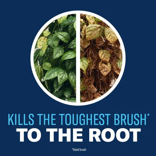 Vista 6 de BioAdvanced Extended Control Brush Killer Concentrado, 32 onzas, hiedra venenosa al aire libre, bambú y mata hiedra inglesa