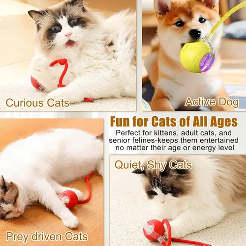 Vista 7 de Juguetes interactivos para gatos de interior, nuevos juguetes interactivos para gatos, bola automática inteligente para mascotas, bola de juguete