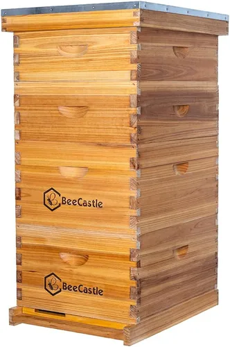 BeeCastle 10 marcos Langstroth Bee Hive recubierto con 100% cera de abeja, incluye marcos de colmena y bases enceradas (2 cajas profundas y 2 cajas