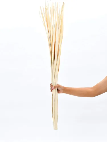 Vista 6 de Ramo de hojas de palmera secas Leewadee de color, rampo para vasijas de suelo, ramita de paja decorativa, paja natural y seca.