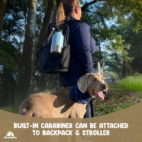 Vista 7 de MurphyBlue Botella de agua para perros 32 onzas de acero inoxidable aislado de capacidad, tapa con mosquetón integrado, cuencos desmontables