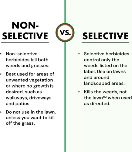 Vista 10 de Spectracide Weed Stop para Césped, Concentrado, Listo para Rociar, Frasco de 32 Onzas, 1 Paquete
