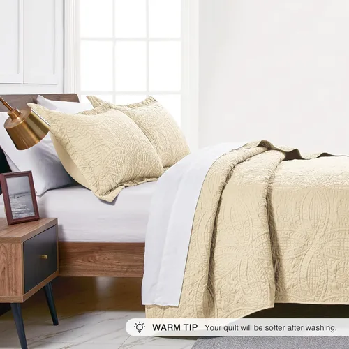 Vista 4 de Love's cabin - Juego de edredón tamaño Queen, color camel, colcha de otoño, microfibra ligera, estilo moderno de monedas, todas las estaciones, 3