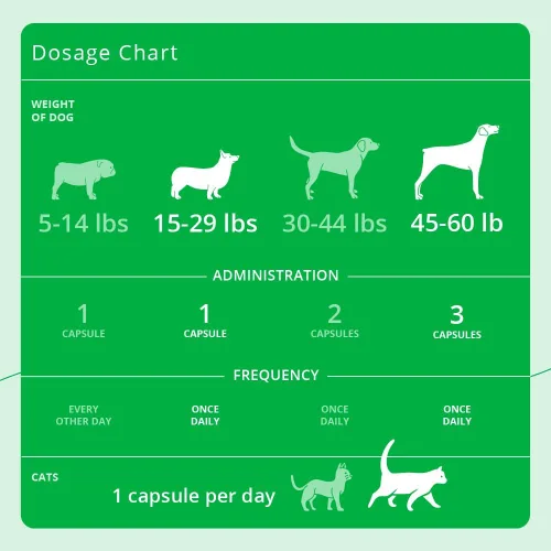 Vista 4 de Eicosa3FF SnipCaps Omega 3 Free Fatty Acid Cápsulas para perros y gatos - Pequeñas, 120