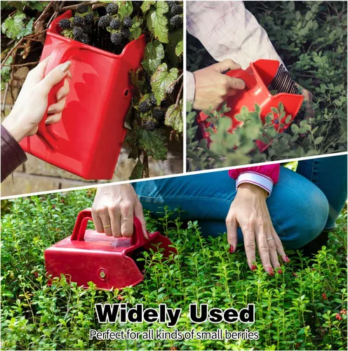 Vista 6 de Paquete de 1/2/4 Recogedor de Bayas, con Peine Metálico y Mango Ergonómico para Recoger Bayas con Mayor Facilidad