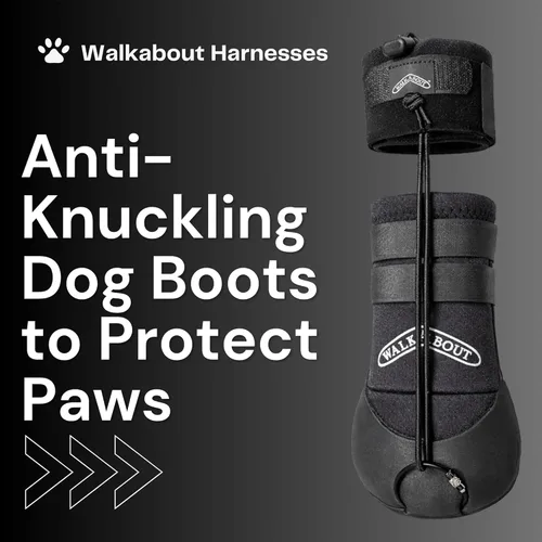 Vista 6 de WALKABOUT™ Toe'sUP - Soporte para botas sin nudillos para perros que arrastran las patas, zapatos correctivos para levantar los dedos de los pies