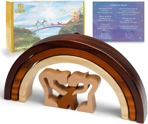 Capti Rainbow Bridge - Regalos conmemorativos para perros, regalos conmemorativos para gatos, te conoceré en el puente del arco iris, regalos para