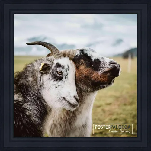 Vista 5 de Poster Palooza 3x3 Inch Contemporary Black Complete Wood Square Picture Frame with UV Acrylic Plexiglass, Foam Board Backing & Hardware Included