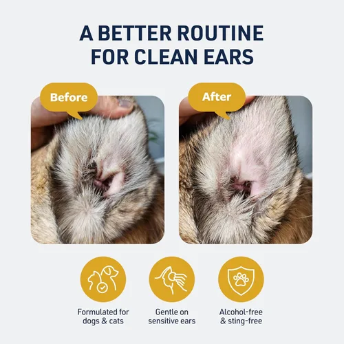 Vista 2 de Yaxa Basics Fórmula veterinaria Terapia de Autos Clínicos, 4 oz. - Fórmula medicada trata infecciones bacterianas, fúngicas y de levadura