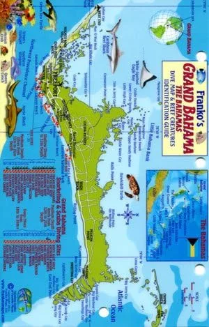 Guía de identificación de criaturas de arrecife y mini-mapa de las Bahamas de Grand Bahama Island - ID de pescado