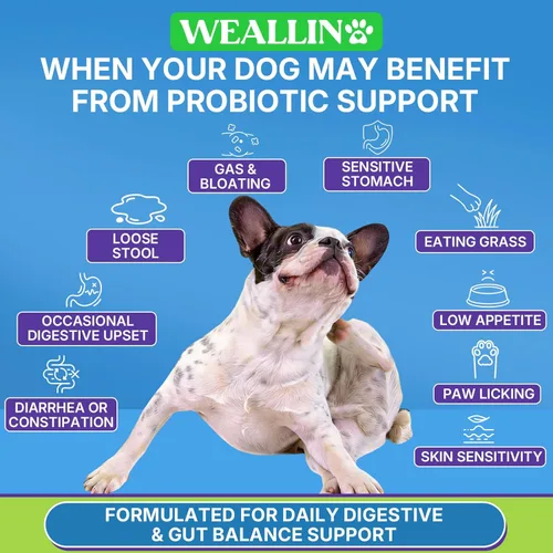 Vista 3 de 200 PCS Probióticos para Perros - Masticables Probióticos para Perros para la Salud Intestinal, Apoyo Digestivo y Alivio de Picazón en la Piel