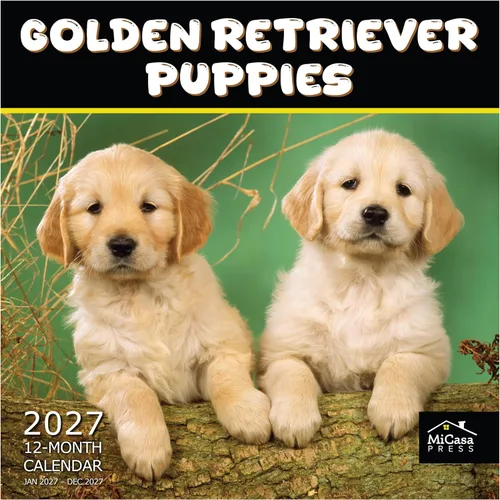 Vista 49 de MICASA PRESS Calendario de pared de Australian Shepherds Aussies 2027 02 - Pastores australianos