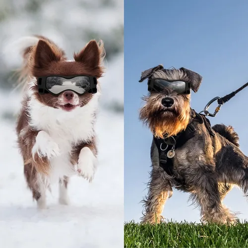 Vista 6 de OWNPETS Gafas de sol para perros, lentes de sol para perros, pan pequeño con correa ajustable, protección UV, protección contra el desgaste