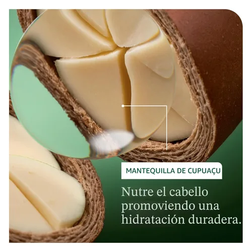 Vista 4 de Biolage Ultra Hydra Source - Acondicionador, acondiciona intensamente, para cabello muy seco, grueso y áspero, infundido con microdosis de manteca