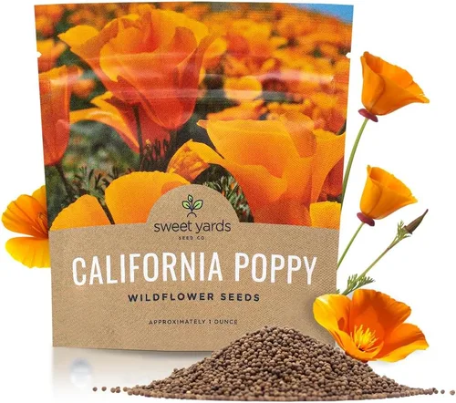 Semillas de flores silvestres de amapola naranja de California, paquete a granel de 1 onza, más de 20,000 semillas nativas, flor del estado de