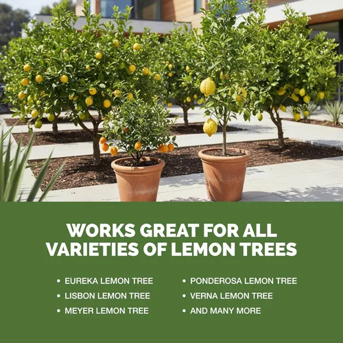 Vista 5 de Abono para Árbol de Limón, Alimento Completo para Plantas de Árbol de Limón, 8 oz (250mL)