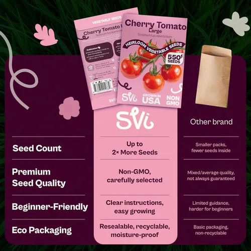 Vista 6 de SVI 550 Large Red Cherry Tomato Seeds (Solanum lycoperscium) – Cherry Tomatoes Seed Packets, Mini Tomatoes On The Vine – Heirloom Vegetable Seeds in