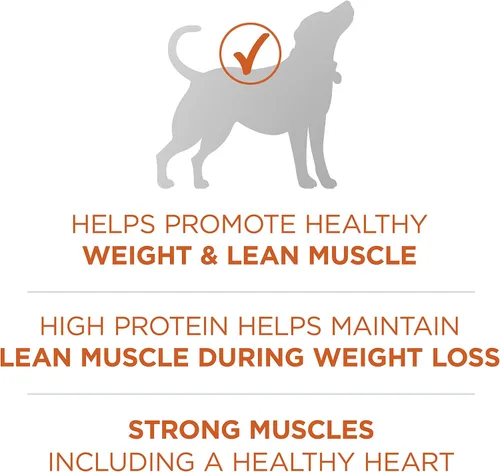 Vista 5 de Purina ONE SmartBlend Natural Peso saludable, fórmula para adulto, alimentos secos para perros y comida húmeda para perros