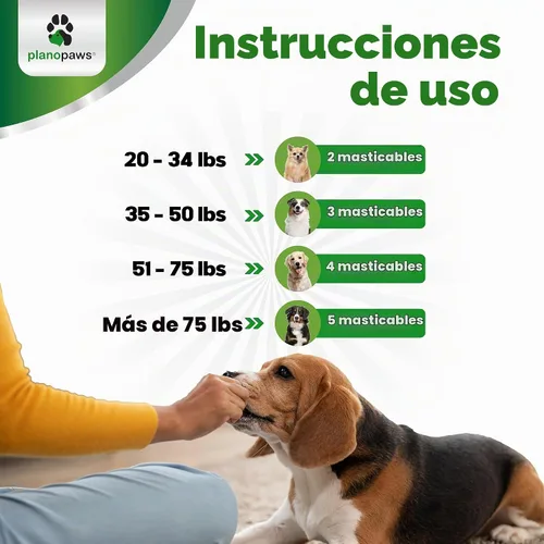 Vista 6 de Probióticos para perros, 90 masticables suaves, 4 mil millones de UFC, salud digestiva
