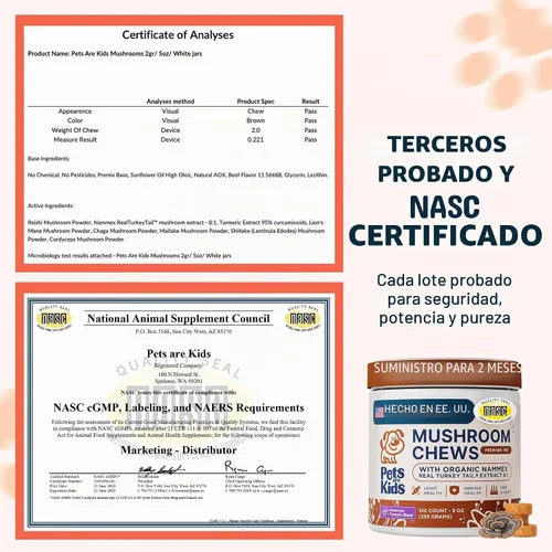 Vista 8 de Pets are Kids Turkey Tail Mushroom for Dogs, Gut, Skin and Joint Support Masticables de hongos con extracto 8:1 certificado por la NASC