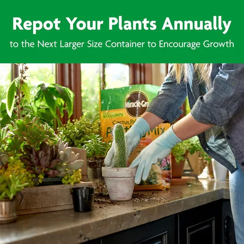 Vista 9 de Miracle-Gro Mezcla para macetas de cactus, palmeras y cítricos, para plantas en macetas de interior o exterior, ideal para suculentas, 8 cuartos