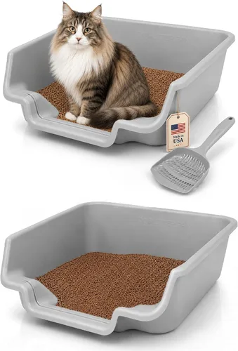 Vista 43 de KittyGoHere - Caja de arena para gatos mayores con cuchara, arena de playa
