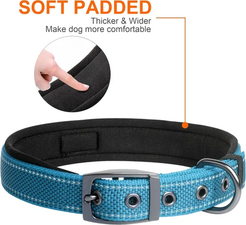Vista 5 de Fida Juego de collar de perro de 14.5 a 19 pulgadas con correa de perro de 4 pies, juego de correa y collar resistentes para perros medianos