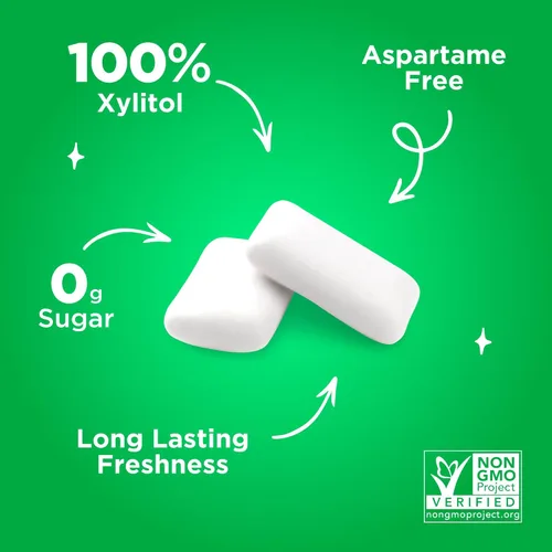 Vista 5 de PUR - Chicle de sabor menta verde elaborado con 100 % xilitol, sin azúcar ni aspartamo, vegano. Refresca el aliento, blanquea los dientes y alivia