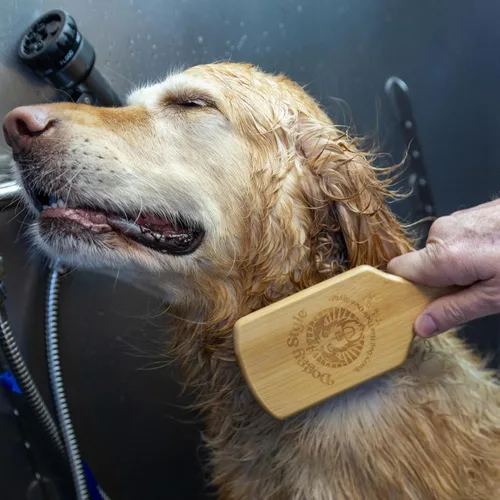 Vista 4 de Cepillo grande de bambú para perros para aseo – Cepillo de cerdas naturales sostenible para razas grandes – Cepillo ecológico para pelo de perro