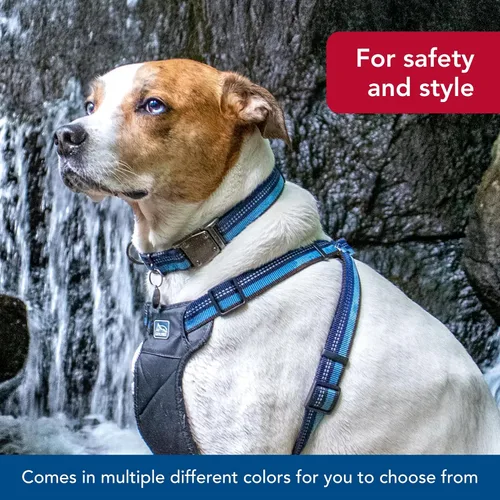 Vista 6 de Coastal Pet K9 Explorer - Collar reflectante ajustable para perro, cómodo collar para exteriores, accesorio duradero y ligero con hebilla de Baya