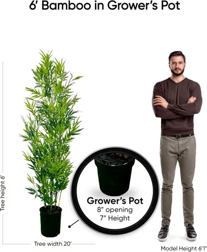 Vista 4 de Cypress & Alabaster Planta artificial de bambú de 6 pies, árbol de diseño hecho a mano, hipoalergénico, 6 pies, verde