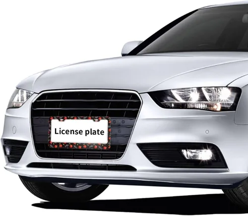 Vista 7 de Dujiea 2 marcos de matrícula de metal de aluminio con patrón de frutas con tapas de rosca, marco de placa de matrícula de 2 agujeros, soporte