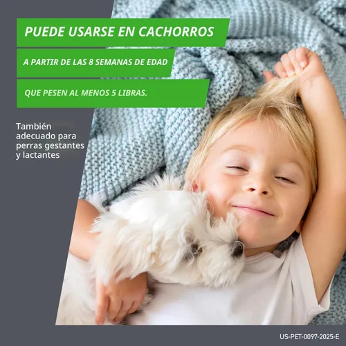 Vista 6 de FRONTLINE Plus Tratamiento de pulgas y garrapatas para perros pequeños de hasta 5 a 22 libras. 3 tratamientos