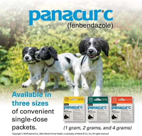 Vista 2 de Panacur C Canine Dewormer Perros 1 (3 Paquetes) Gramo Cada paquete trata 10 libras
