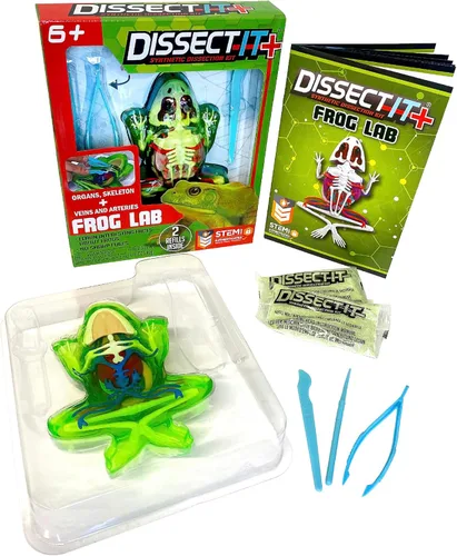 Vista 10 de Dissect-It Juguete de Disección de Laboratorio Sintético Simulado, Proyectos STEM para Niños, Ciencia Animal, Biología y Anatomía Kit de Aprendizaje