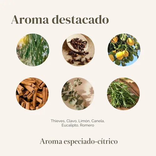 Vista 7 de Thieves - Limpiador doméstico 14.4 onzas Solución multisuperficie a base de plantas infundida con aceites esenciales Diluye para pisos