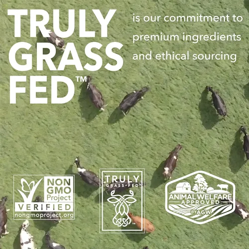 Vista 7 de ICONIC Protein Powder, Vanilla Bean - Sugar Free, Low Carb Protein Powder - Lactose Free, Gluten Free, Non-GMO - 20g Grass Fed Whey & Casein Protein