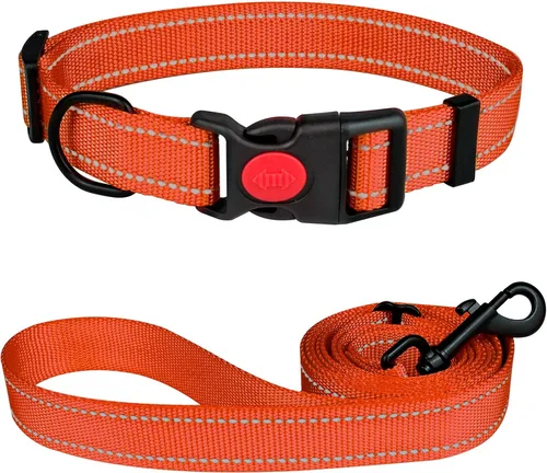 Vista 12 de Juego de collar y correa reflectante para perro con hebilla de bloqueo de seguridad, collares de nailon para mascotas ajustables para perros Negro
